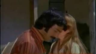 Ferdi Tayfur Sevda Yelleri Resimi