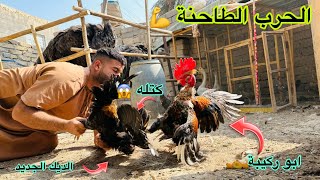 فقس السمان 🥰ديج جديد في مواجهت ابو ركيبه 💪