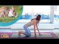 Yoga Poses and Concepts Assessment
