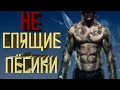 Вся сложность платины в Sleeping Dogs. На 100% | Психоplat #2