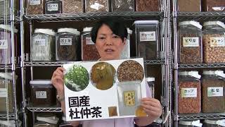 自身あります！美味しい国産杜仲茶。工場直売・契約農家が育てた杜仲葉100％