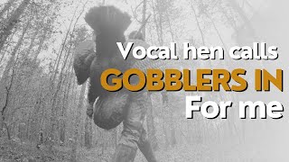 Vocal Hen Calls in MULTIPLE GOBBLERS for me on opening morning - Opening Day Alabama Longbeard by SouthernRoots OD 441 views 3 years ago 12 minutes, 35 seconds