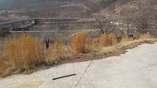 시골 땅 구입시 주의사항 한가지.