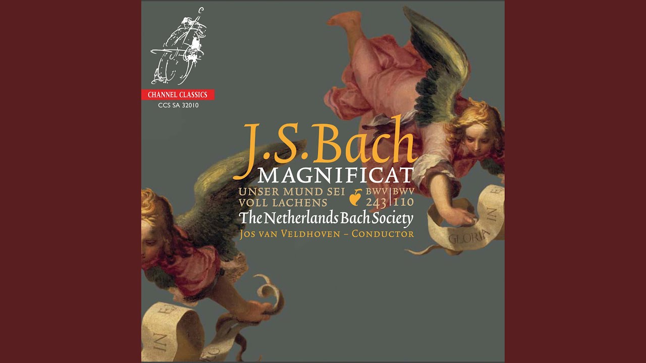 Magnificat in D Major, BWV 243: X. Suscepit Israel (Soprano 1