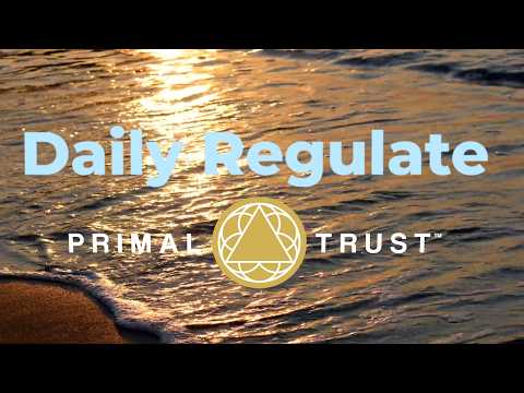 How to Heal Your Nervous System in 40 Days | Daily Regulate