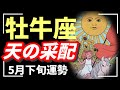 牡牛座、人生変わるレベルの大変革。宇宙も天も味方してくれて最強モード突入🔥【タロット個人鑑定級リーディング 】
