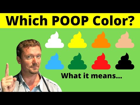 Your Poop Is What Color 2024