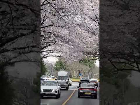 Feel the magic of this place..Who can guess it???