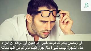 هل تعلم ما يحدث عند تناول فاكهة الدوم صيدلية من الفوائد الصحية شاهد الفيديو.