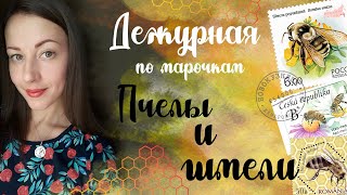 Филателия : Моя коллекция пчел и шмелей !