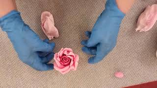 видео: Роза картинка: Роза