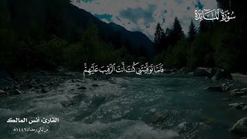 خواتيم سورة المائدة القارئ أنس المالك من ليالي رمضان عام 1446هـ 