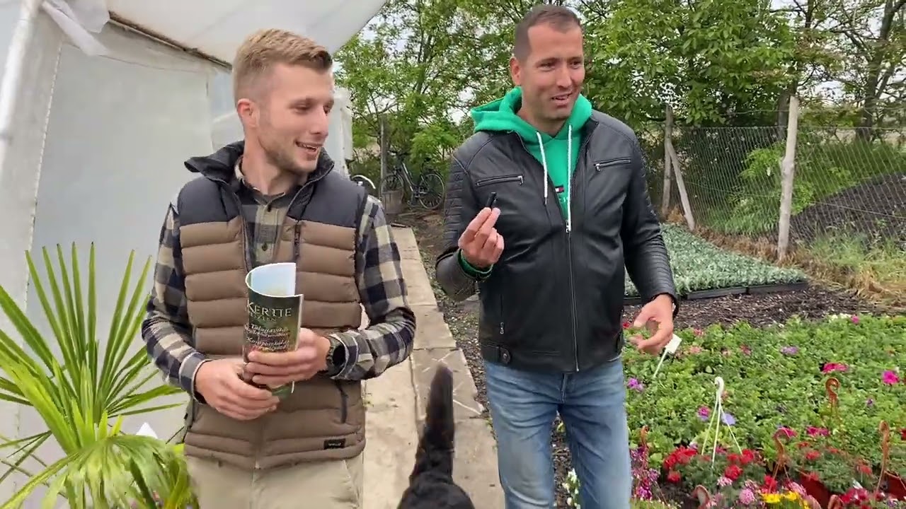 Hódmezővásárhely zöld szemmel