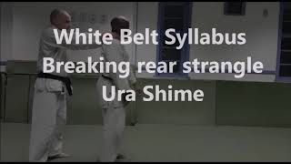 White Belt Syllabus Breaking Rear Strangle