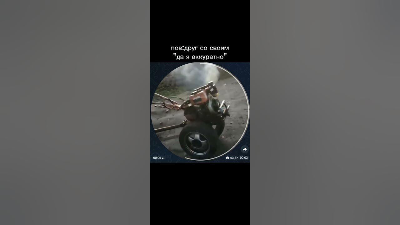 #котомем - YouTube