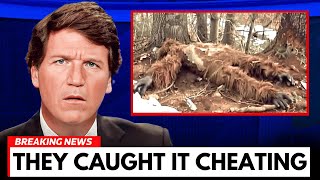 Expedition Bigfoot Researcher: We Found Him!