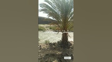 تلاوة في قمة الروعة والعدوبة تريح النفوس ( سورة السجدة)