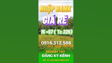 Đất Dầu Tiếng I Lô này Ngộp lắm rồi anh em? #datdautieng