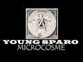 Young sparo  microcosme audio