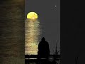 Nature Scenery or White Noise Which is BEST for SLEEP?