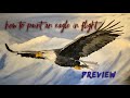 How to Paint an Eagle in Flight:  PREVIEW VIDEO