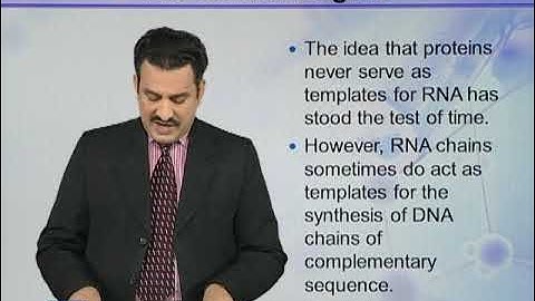 The Central Dogma | Introduction to Biotechnology | BIO5101_Topic028