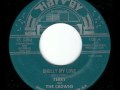 Terry The Crowns Shelly My Love mp3