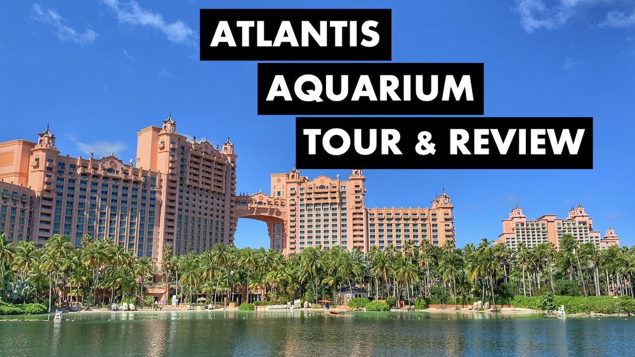 Why you must visit Atlantis Paradise Island in Nassau Bahamas