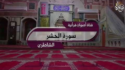 سورة الحشر - الشاطري ( quran surah alhasher)
