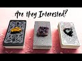 Are They Interested Romantically? | Pick A Card