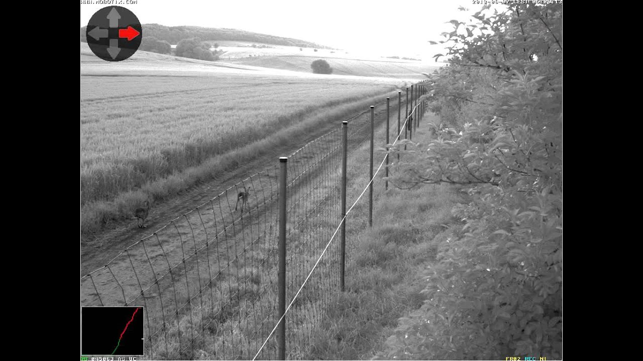 MX Activity Sensor Night