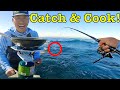 My first Catch and Cook on the BEACH! [Surf Fishing]