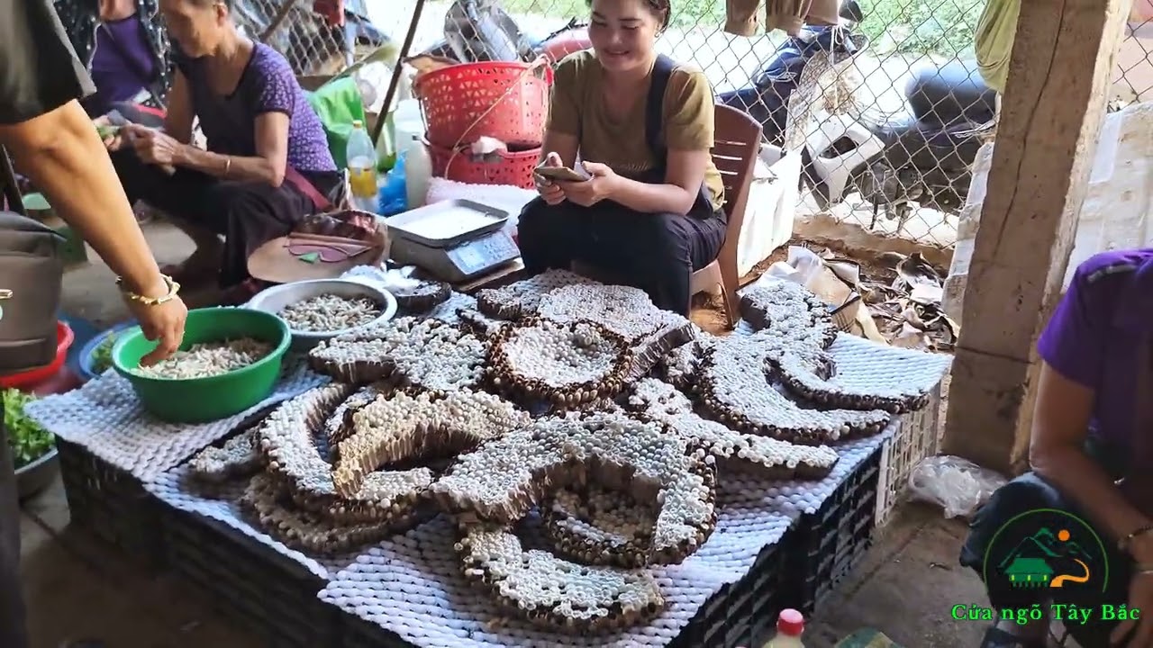 Chợ Phiên Chỉ họp duy nhất vào buổi chiều ở son la - chợ nà si Mai Sơn sơn la