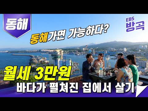 [강원/동해]  '월세 3만 3천 원' 내고 바다가 내려다보이는 집에서 한달살기🏡│네이버지도에도 안나오는 숨겨진 동해 명당│#국내여행 #한국기행 #방방곡곡