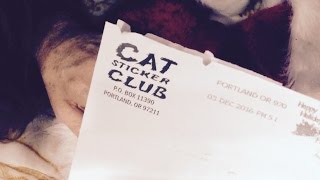 Cat Sticker Club December Subscription (They Donate $ to Help Animal Shelters) Soft Spoken ASMR screenshot 2