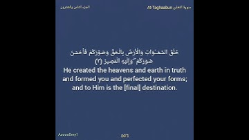سورة التغابن كاملة ١/٨