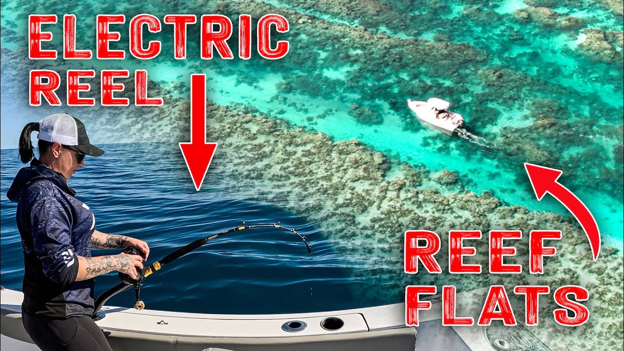Electric Reel fishing  Incredible Reef Flats 