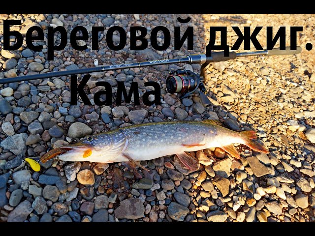 Береговой джиг. Кама