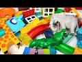 Satisfying Building Blocks ASMR Marble Run #90 Coaster giraffe, elephant & crocodile live 29