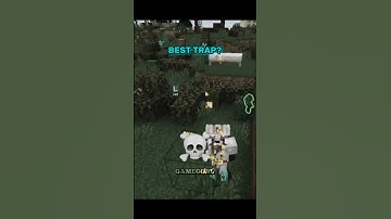 The Most Unexpected Trap in Minecraft SMP 🔥