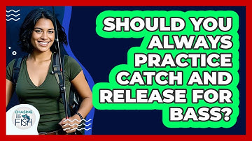 Should You Always Practice Catch And Release For Bass? - Chasing Big Fish