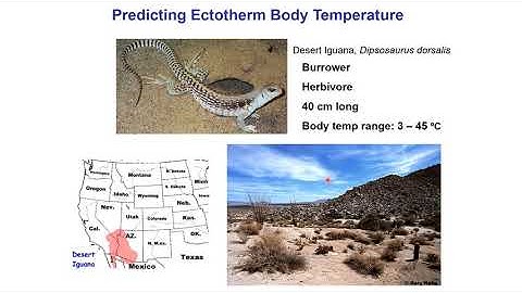 ENM2020 - W33T1 - Mechanistic Models - b
