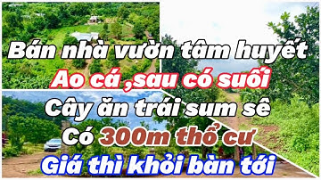 Đại gia sa cơ thất thế buộc phải giảm giá sốc bán đất vườn cây ăn trái tuyệt đẹp ở BR-VT để trả nợ