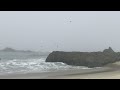 20 minute meditation . Chill Foggy Day at the Beach,