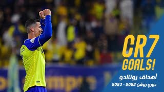 All 14 Ronaldo goals on 2022/23 || جميع أهداف رونالدو الـ14 في الموسم 🐐💛