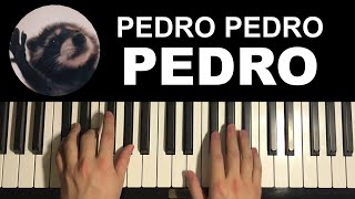 How To Play - Pedro Pedro Pedro Racoon Meme Song (Piano Tutorial Lesson)