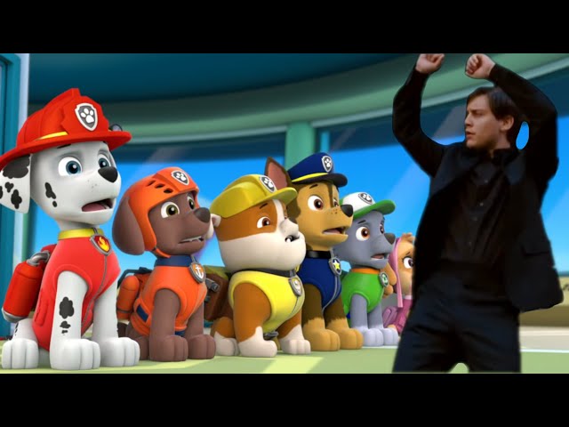 Bully Maguire in Paw Patrol class=