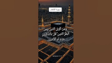 سورة الأنعام #قران #القران_الكريم #آيات_بينات #اكسبلور #فايسبوك #تليگرام #كتب #youtube #دويتو #duet