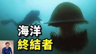 巨型水母神出鬼沒，日本漁業損失上百億！科學家分析真相，發現隱藏在海底的大秘密！【老肉雜談】