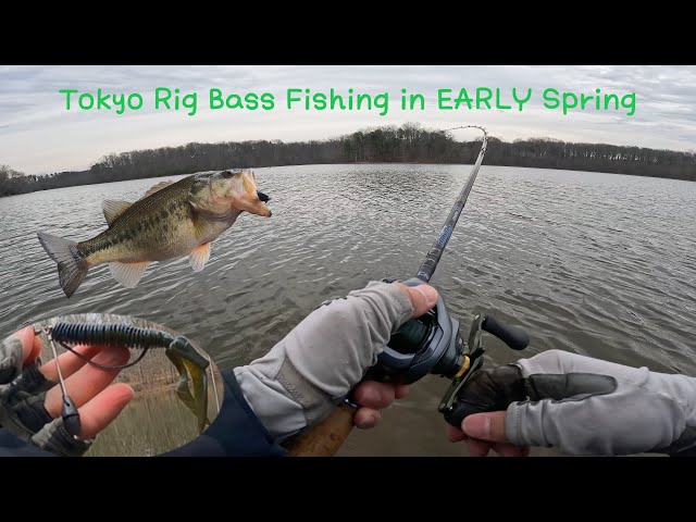 Tokyo Rig Bass Fishing in EARLY Spring（Burke Lake Bass Fishing